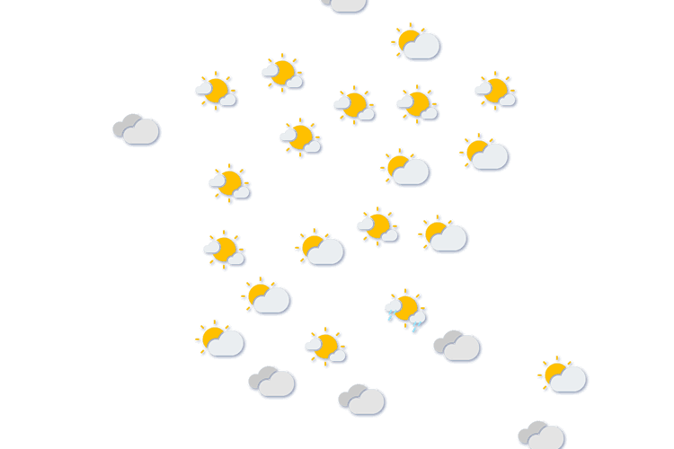 Forecast