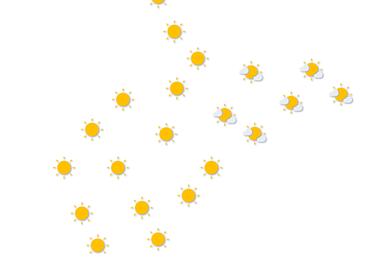 Forecast