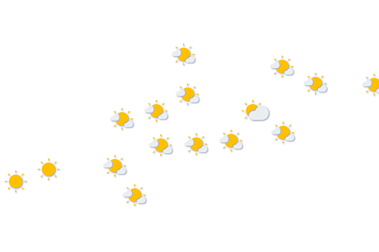 Forecast