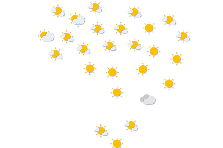 Forecast