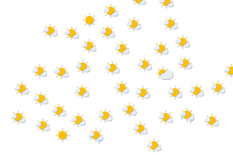 Forecast