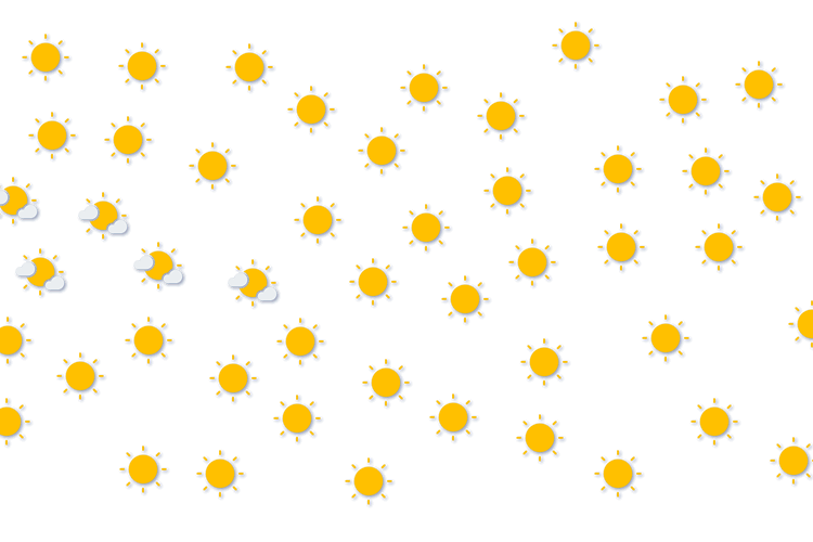Forecast