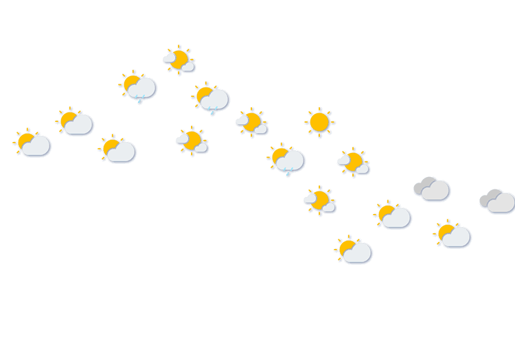 Forecast