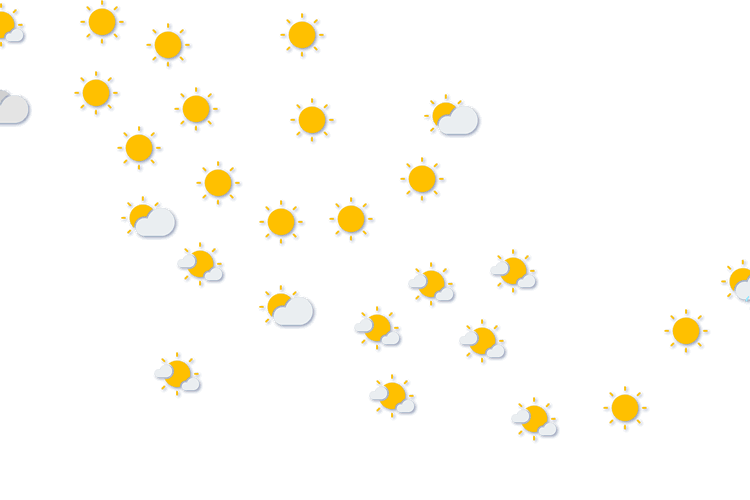 Forecast