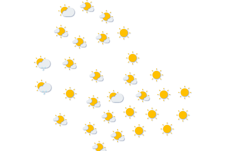 Forecast