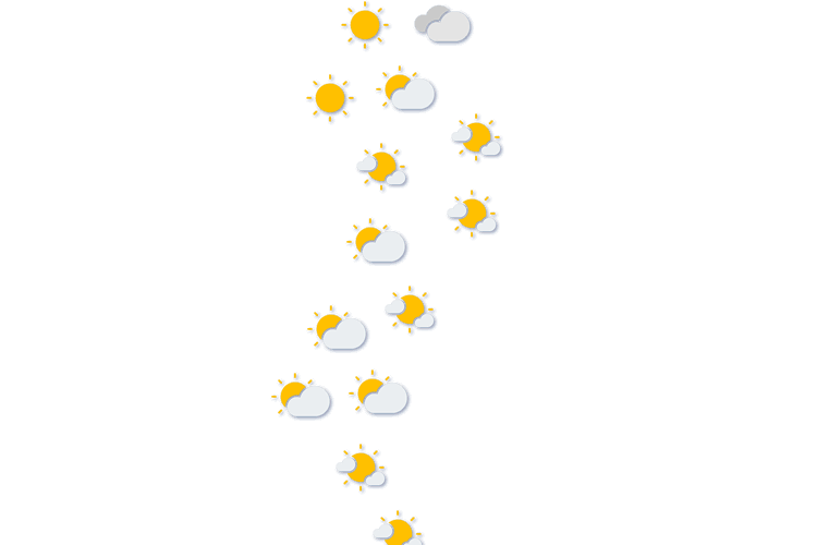 Forecast