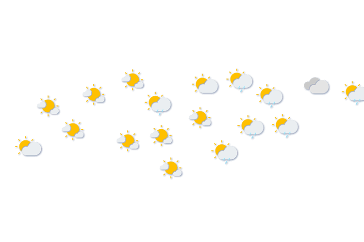 Forecast