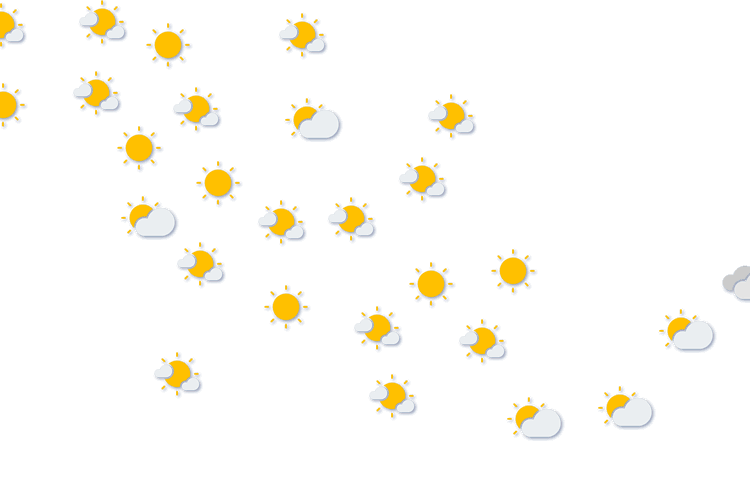 Forecast