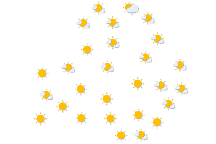 Forecast