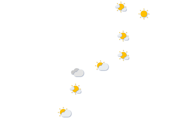 Forecast