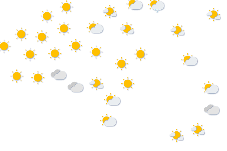 Forecast
