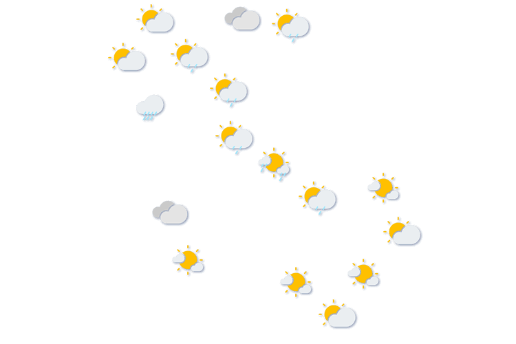 Forecast