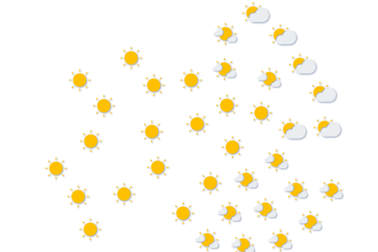 Forecast