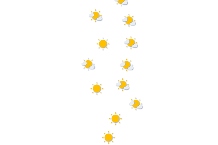 Forecast