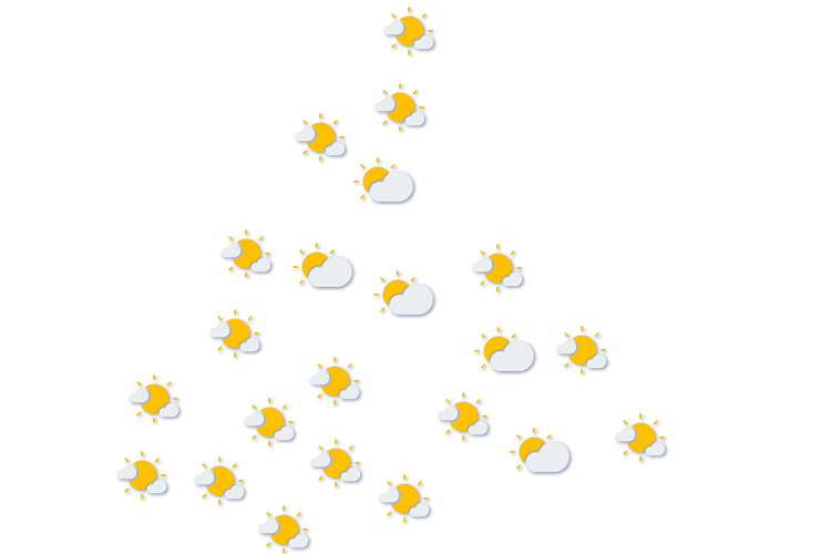 Forecast
