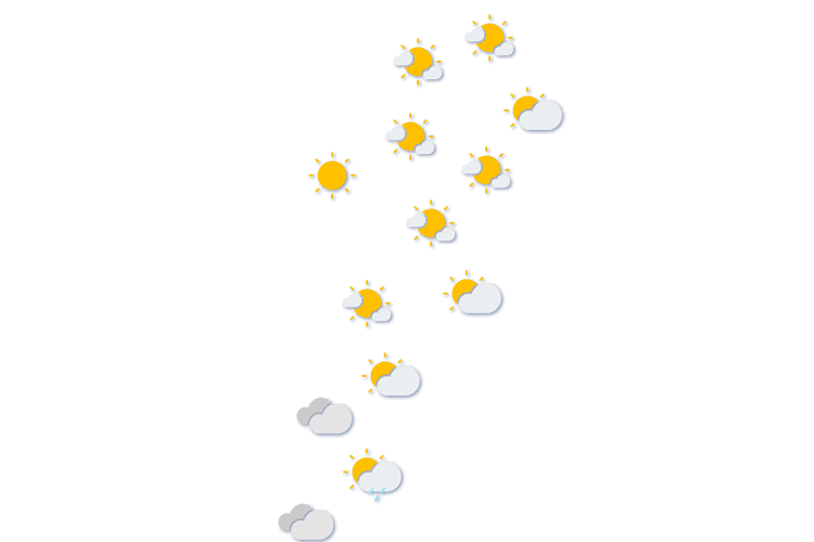 Forecast