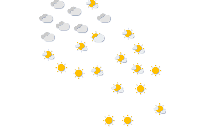 Forecast