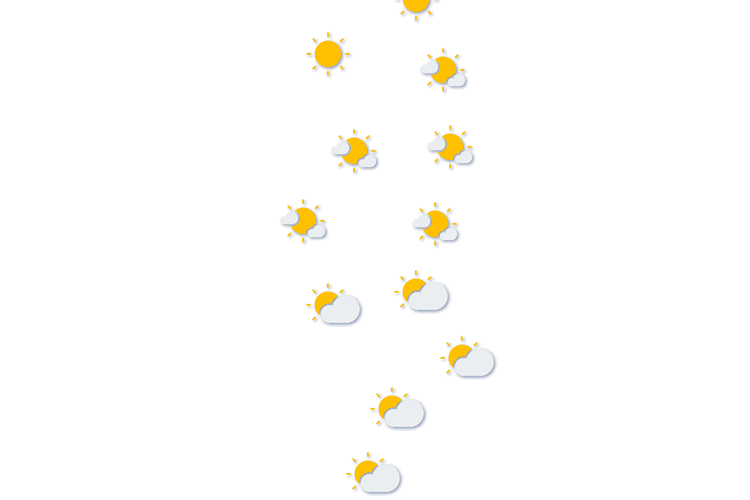 Forecast