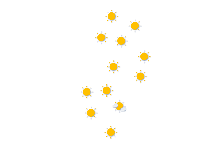 Forecast