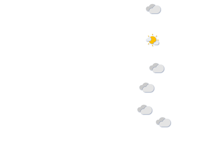 Forecast