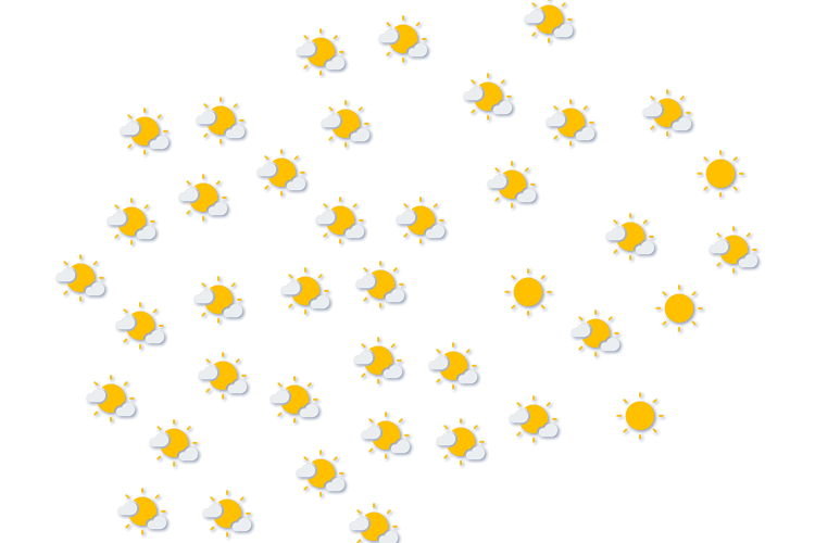Forecast