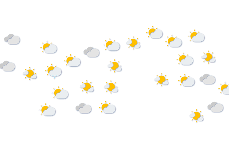 Forecast