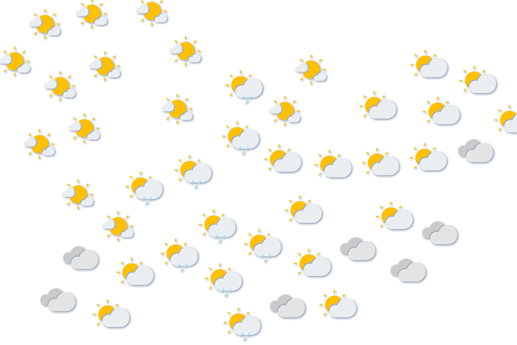 Forecast