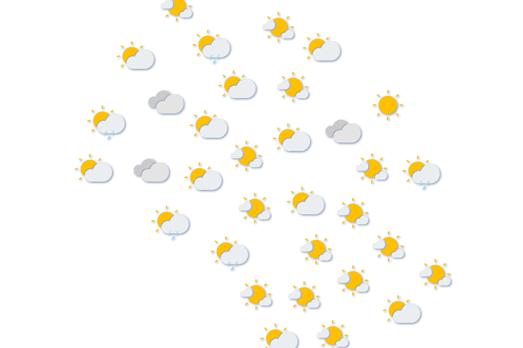 Forecast