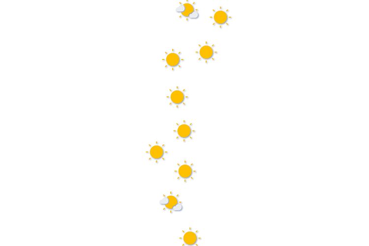 Forecast