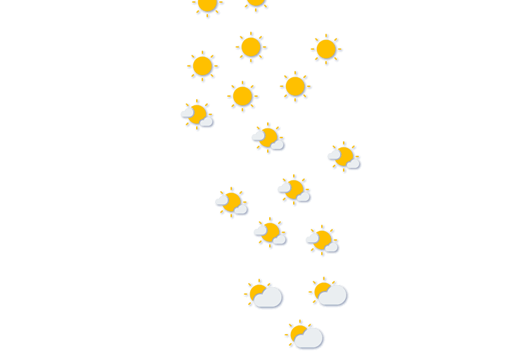 Forecast