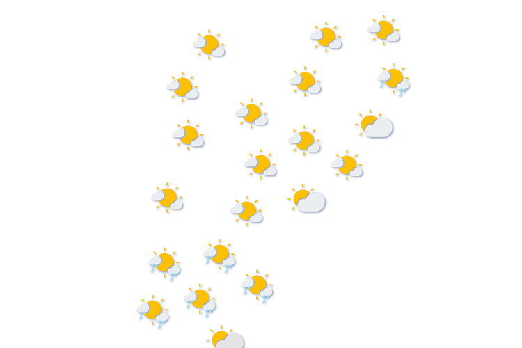 Forecast