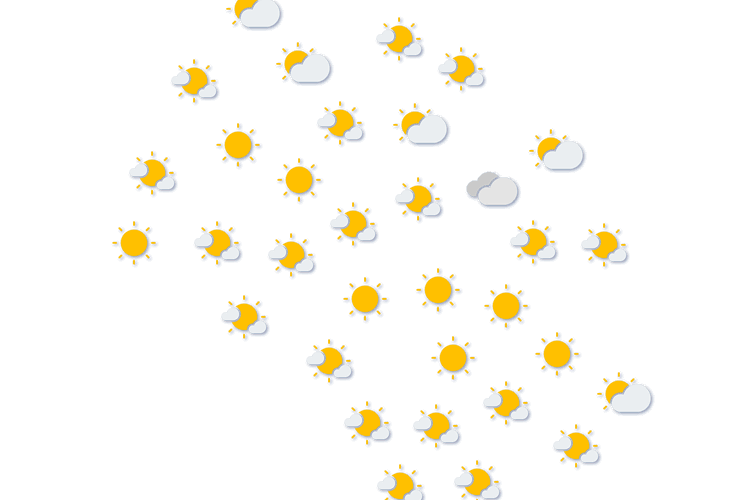Forecast