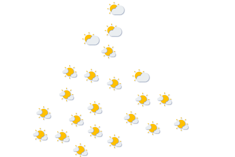 Forecast