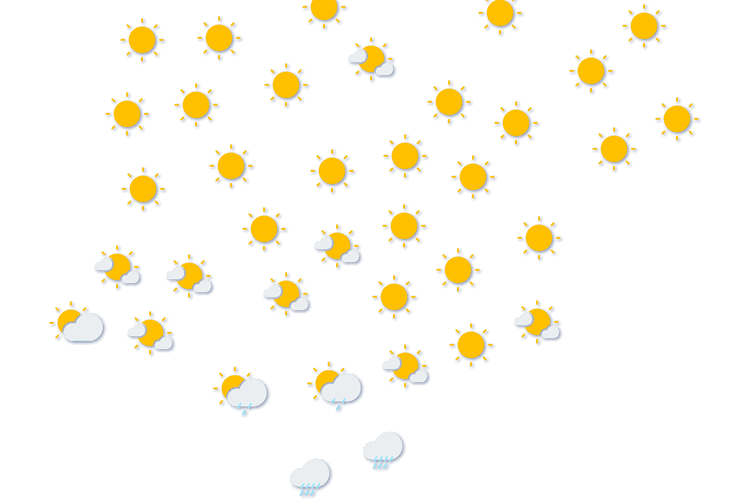 Forecast