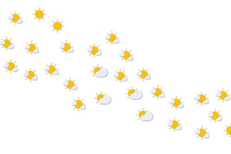 Forecast