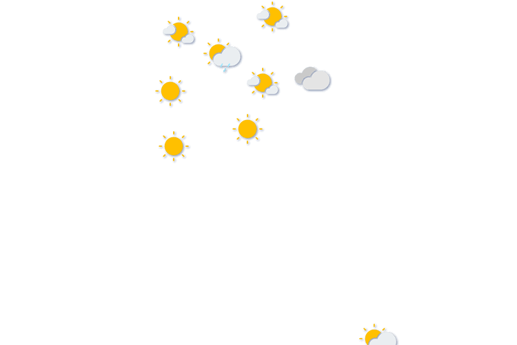 Forecast