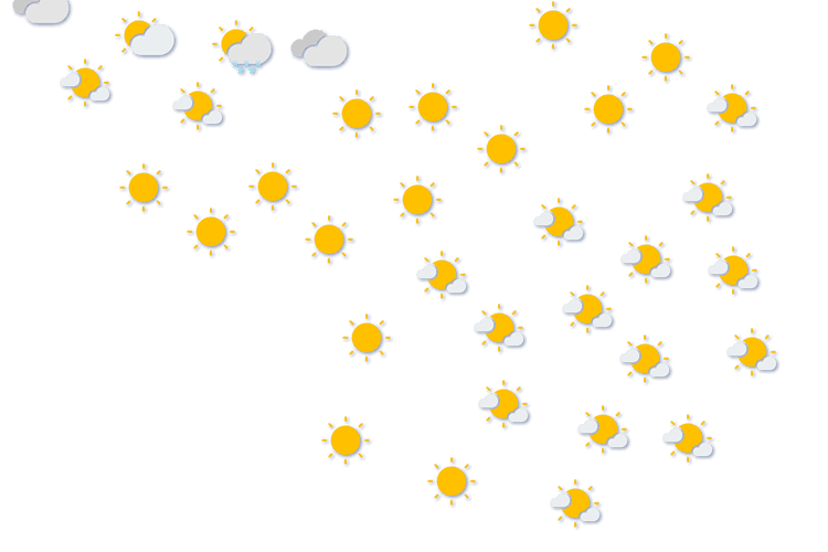 Forecast