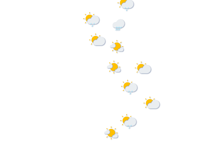 Forecast