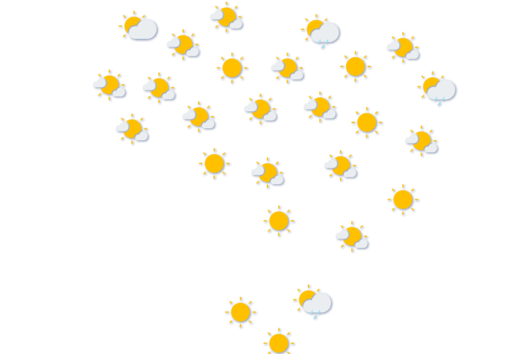 Forecast