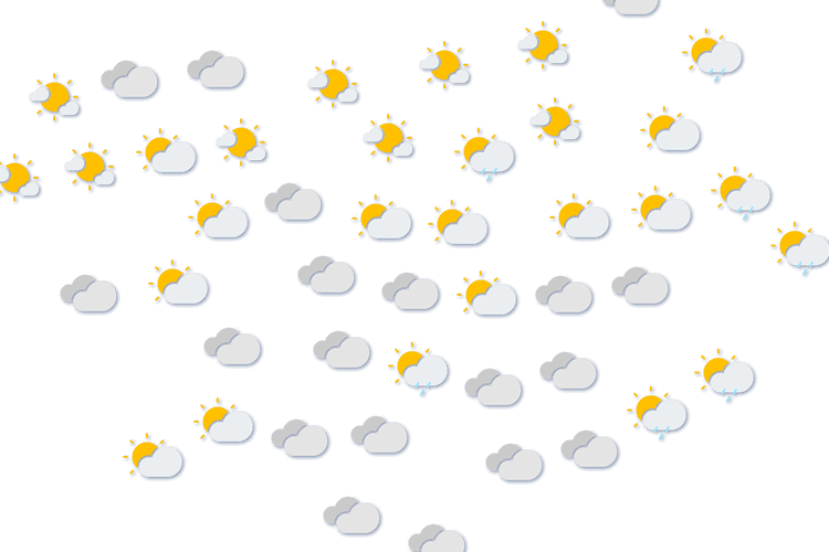Forecast