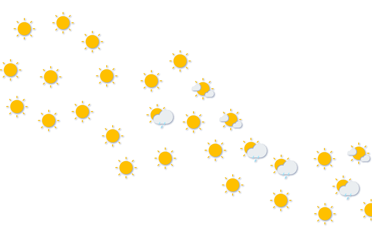 Forecast