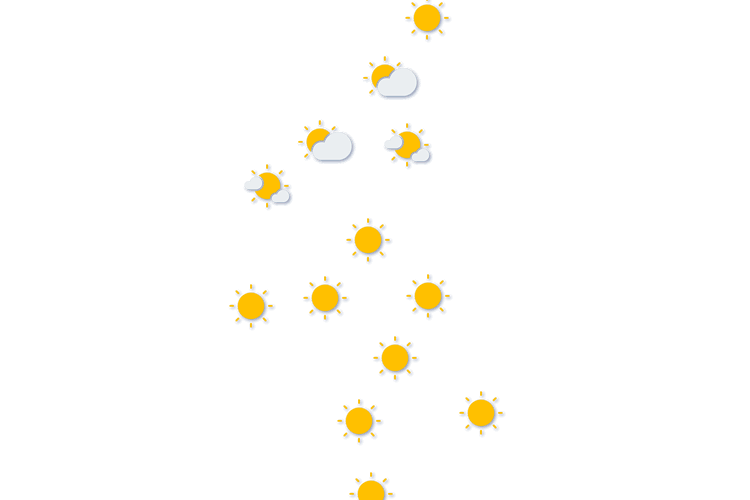 Forecast