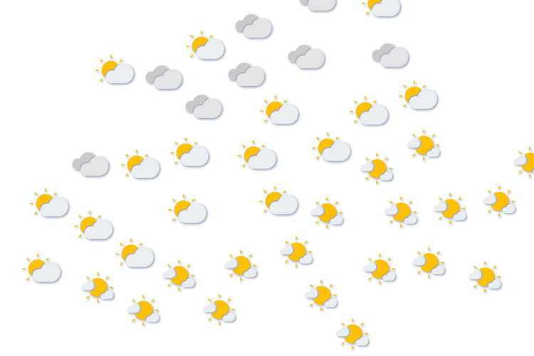 Forecast