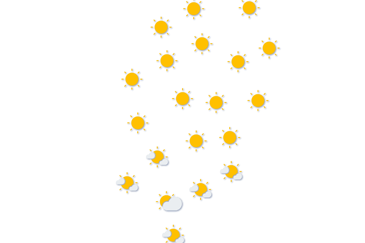 Forecast