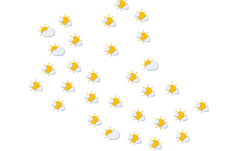 Forecast