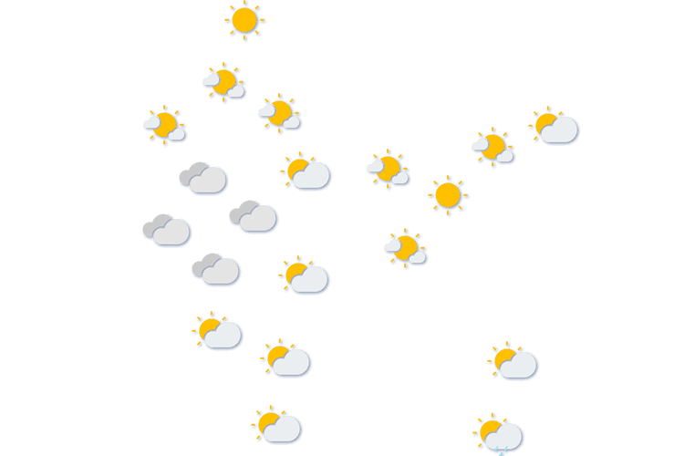 Forecast