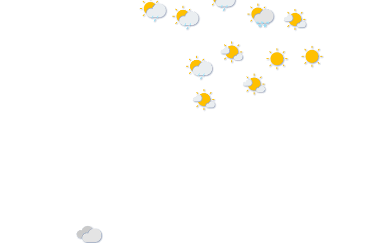 Forecast