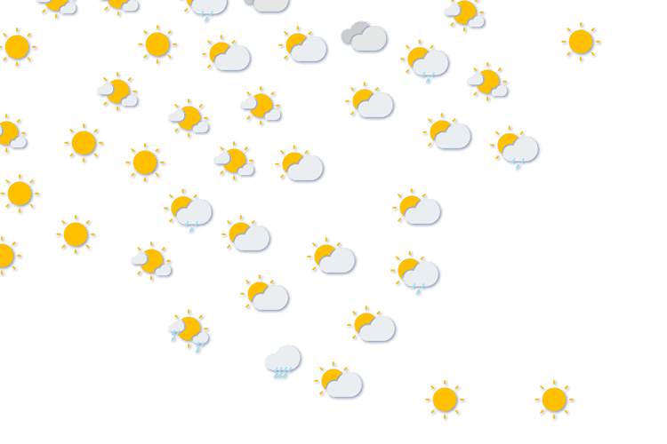 Forecast