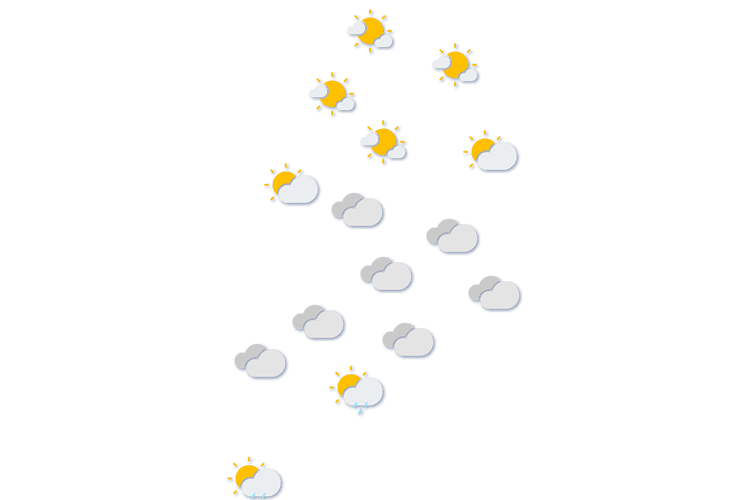 Forecast