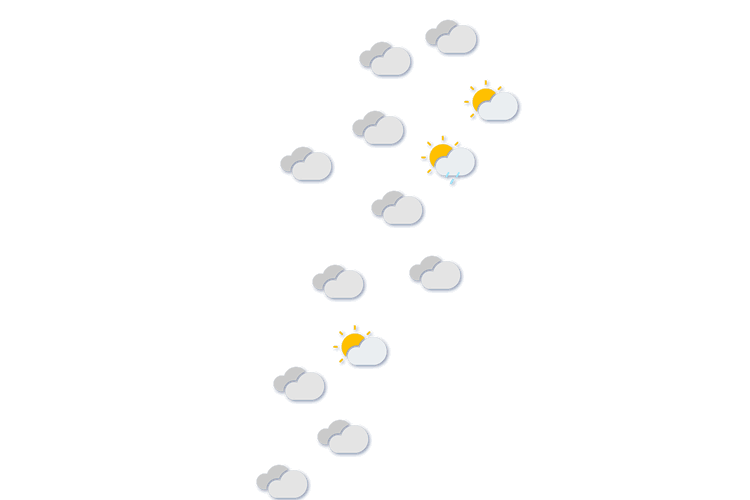 Forecast